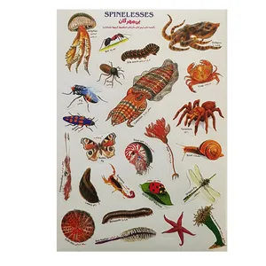 برچسب مدل بی مهرگان کد BI4