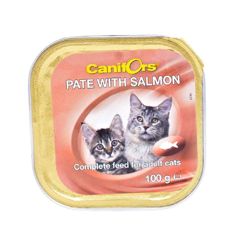 کنسرو غذای گربه کنیفورس مدل Salmon وزن 100 گرم