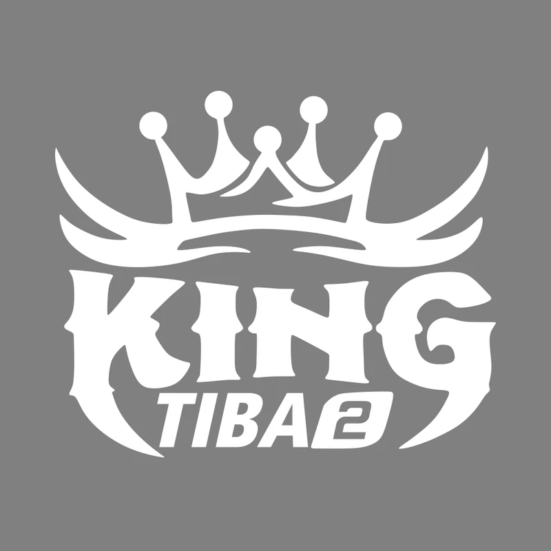 برچسب بدنه خودرو ماتریسیو طرح ماشین تیبا 2 King کد M226