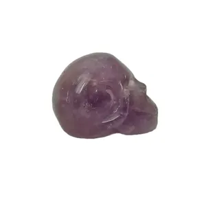 مجسمه مدل اسکلت