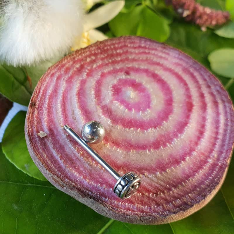 پیرسینگ گوش پایتخت مدل PS294