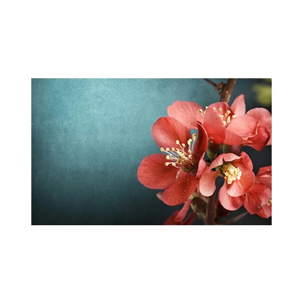   پادری مدل گل و طبیعت کد M35M001-MF0039 سایز 76x46 سانتی متر