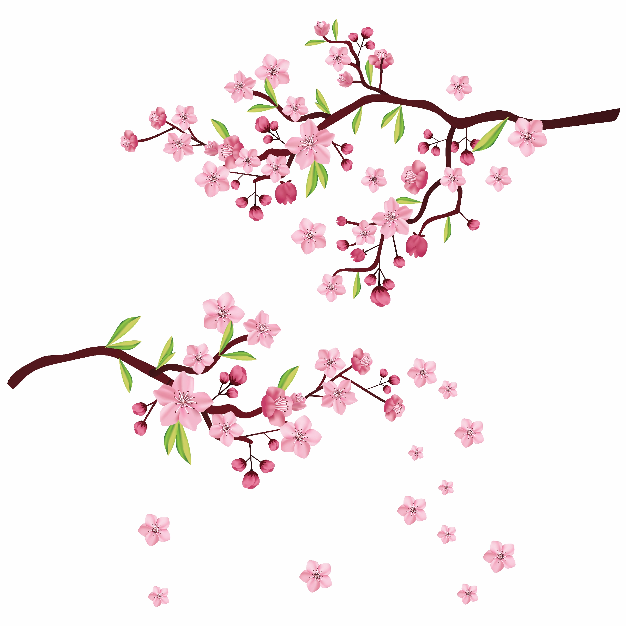 آنباکس استیکر دیواری مدل شکوفه گیلاس کد 02 در تاریخ ۰۴ بهمن ۱۴۰۱