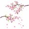 آنباکس استیکر دیواری مدل شکوفه گیلاس کد 02 در تاریخ ۰۴ بهمن ۱۴۰۱