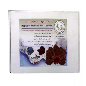 برگ درخت بادام گرمسیری کاتاپای آنامیس مدل 7D بسته 25 عددی