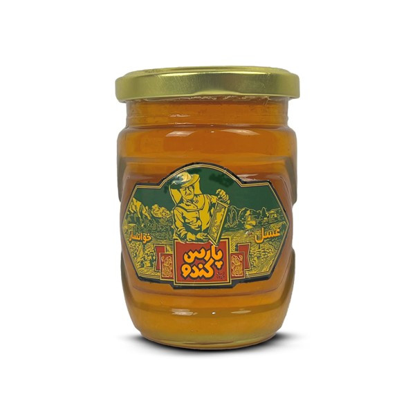 عسل پارس کندو - 250 گرم