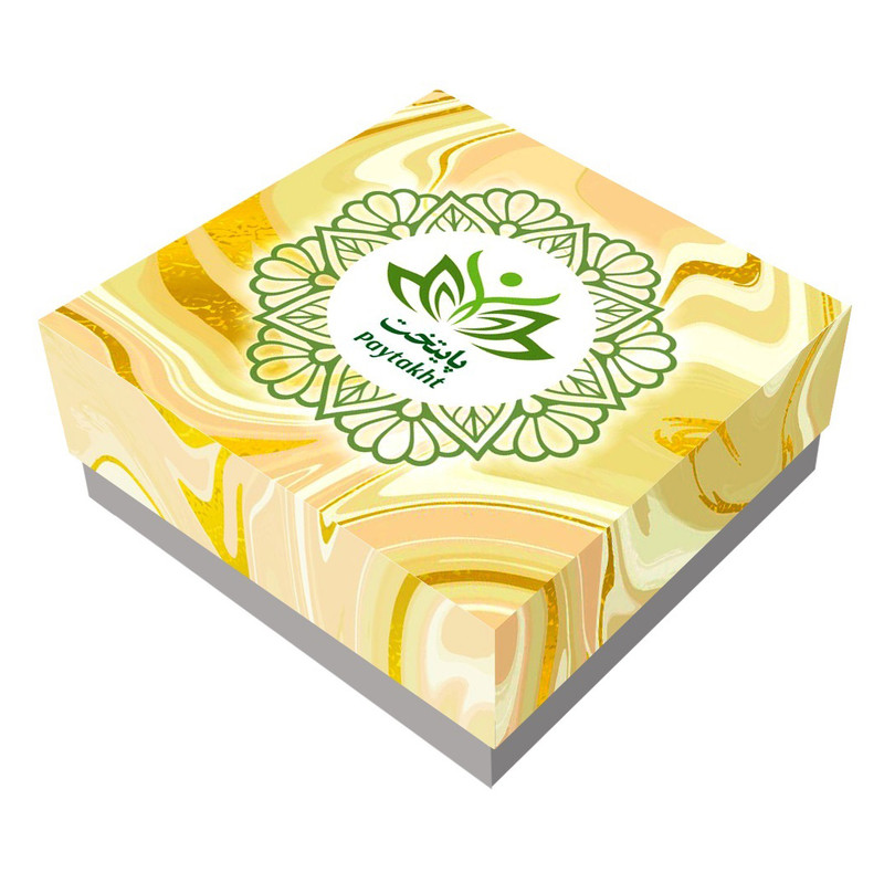 گوشواره زنانه پایتخت مدل PS447_GO1