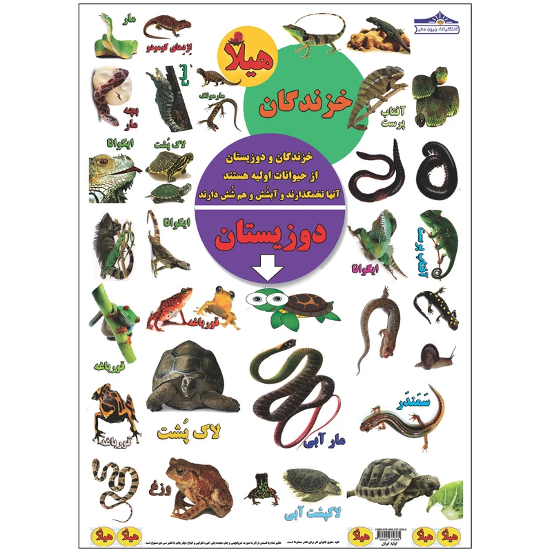 برچسب هیلا مدل آموزشی دوزیستان بسته 5 عددی