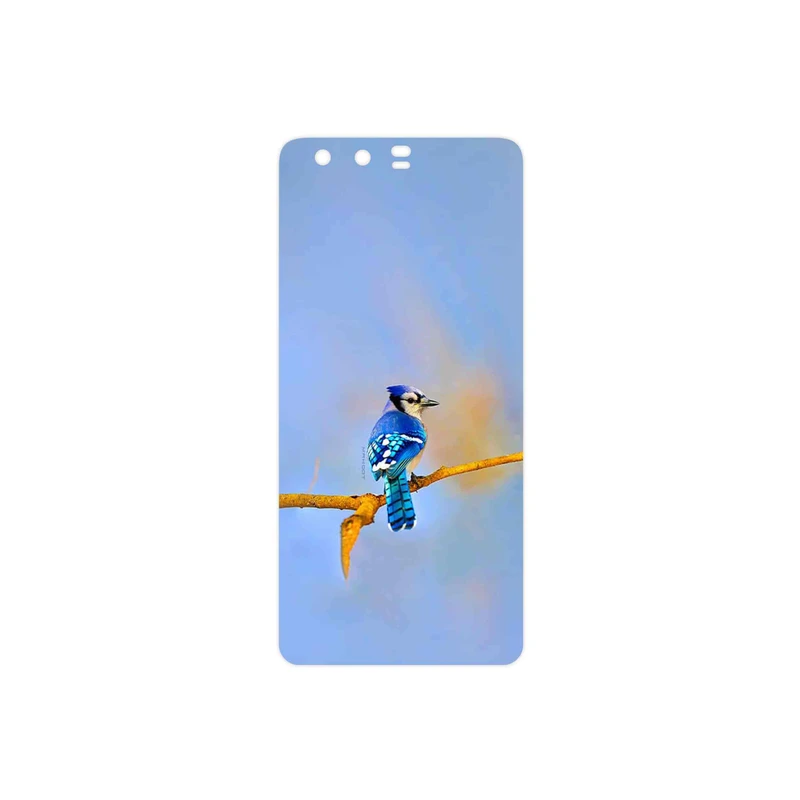 برچسب پوششی ماهوت مدل Cyanocitta cristata مناسب برای گوشی موبایل هوآوی P10