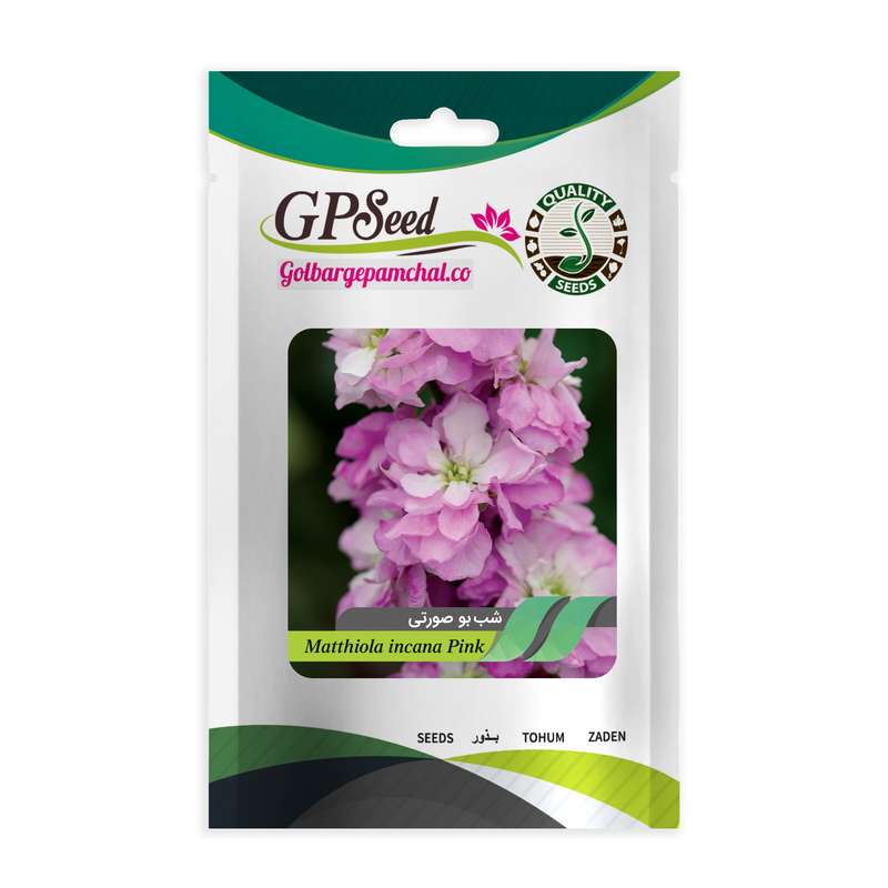 بذر گل شب بو صورتی گلدانی گلبرگ پامچال کد GPF-295
