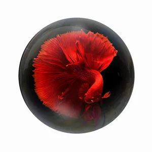 مگنت عرش طرح فانتزی ماهی کد Asm3982