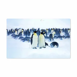 MAHOOT Penguin Cover Sticker for Microsoft Surface 2 RT 2013
