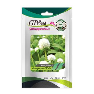 بذر گل تکمه ای سفید گلبرگ پامچال کد GPF-264