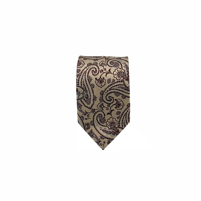 ست کراوات و دستمال جیب مردانه آریوان مدل بته جقه کد TB9904