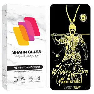 Shahr Glass ANTGS20 Screen Protector For Apple iPhone XS / iPhone 11 Pro 