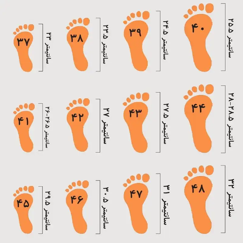 کفش پیاده روی زنانه مدل zoom