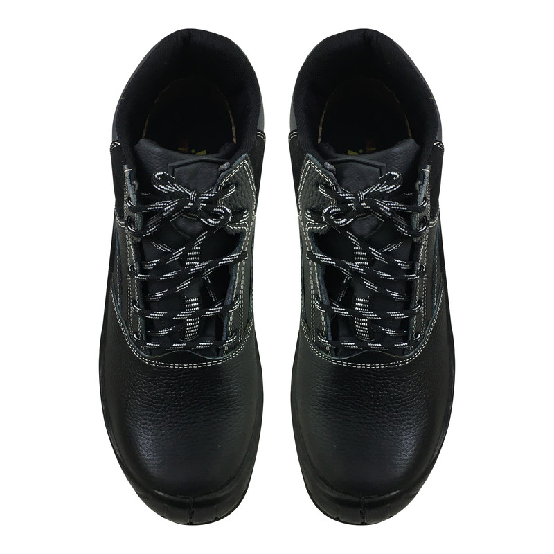 پوتین ایمنی مدل سپاستین