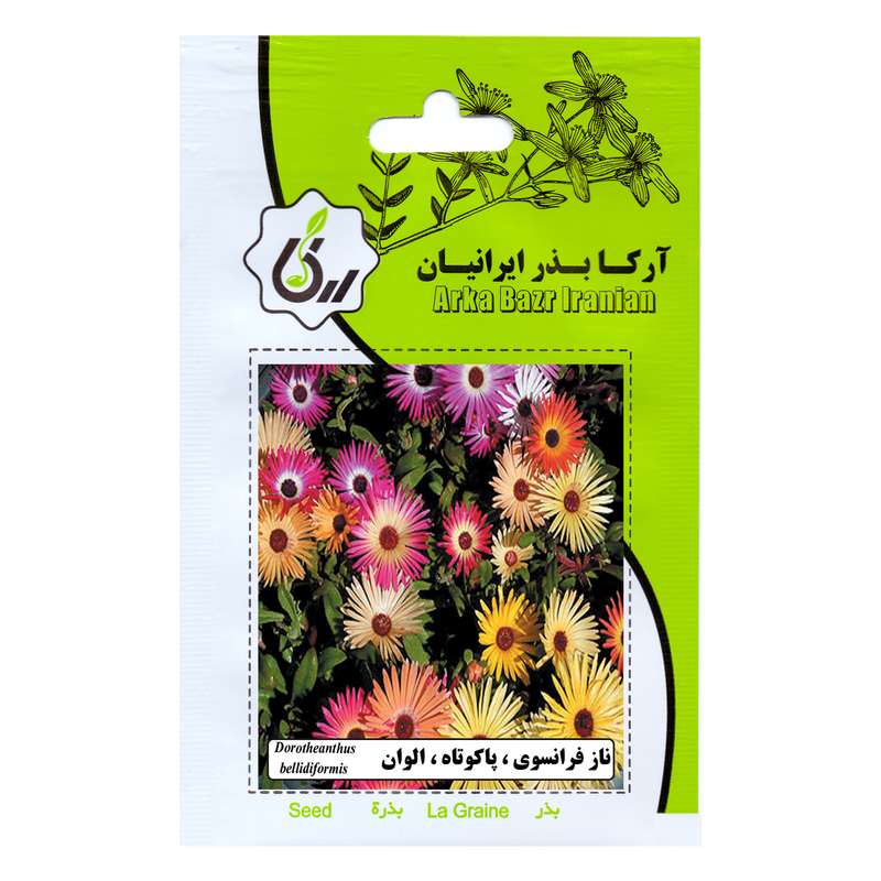 بذر گل ناز فرانسوی پاکوتاه الوان آرکا بذر ایرانیان کد 169-ARK
