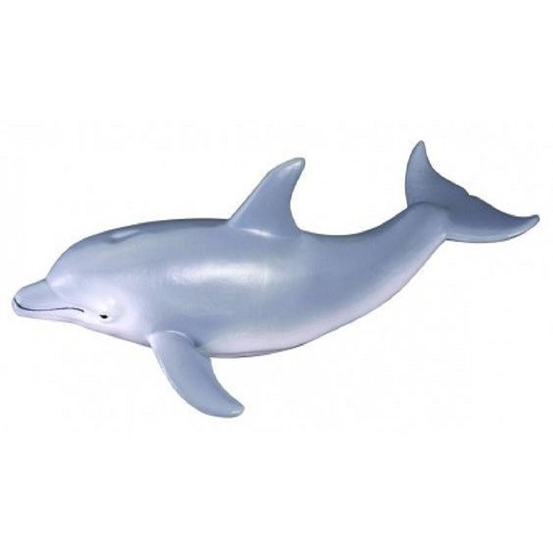 فیگور مدل دلفین