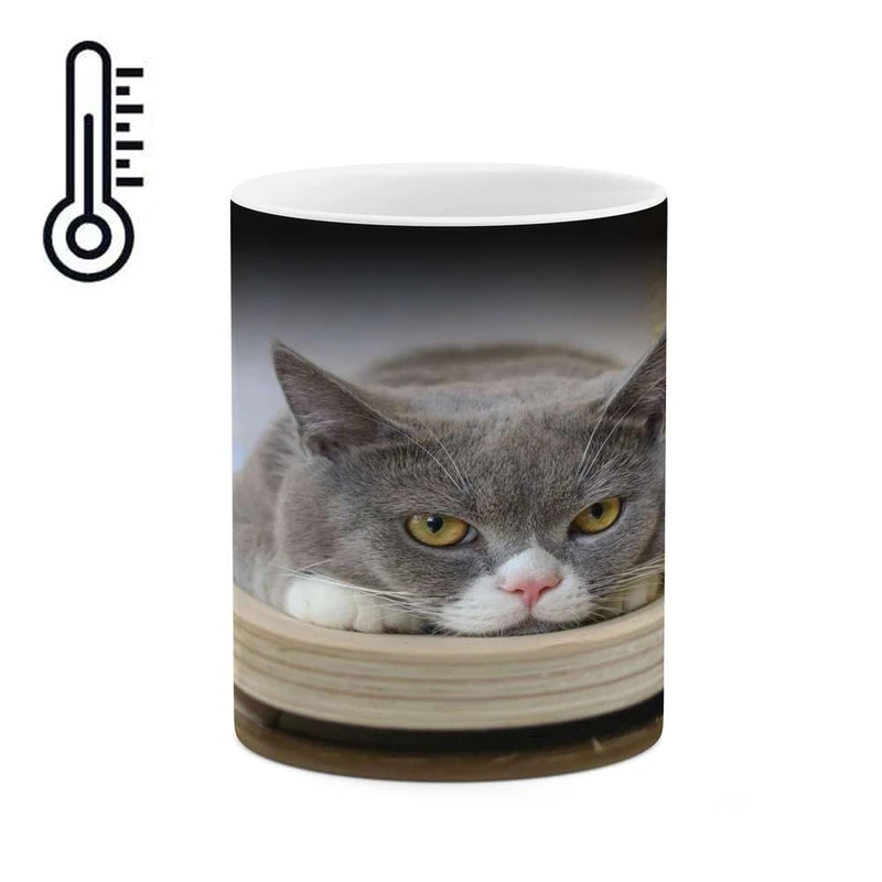 ماگ حرارتی کاکتی مدل گربه کد mgh16898