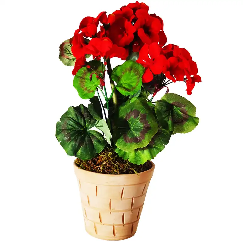 گلدان به همراه گل مصنوعی مدل شمعدانی کد sh4a2