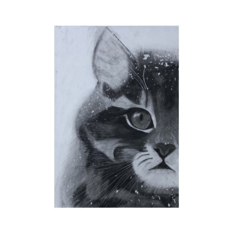 نقاشی سیاه قلم مدل گربه