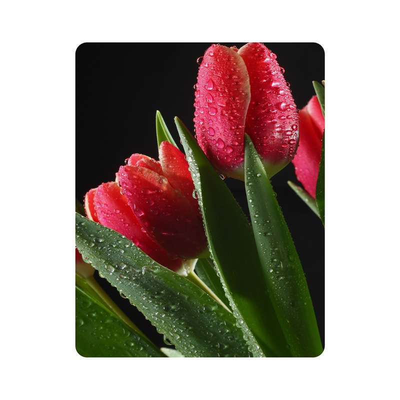 ماوس پد اطلس آبی طرح گل لاله مدل T6791
