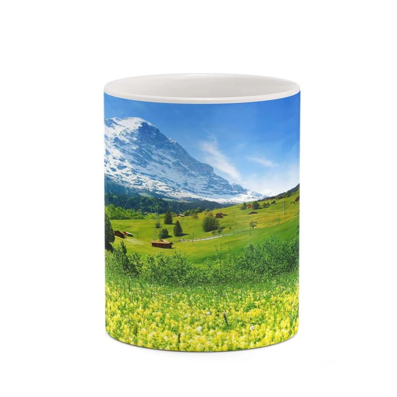 ماگ کاکتی مدل منظره کد mgh18253