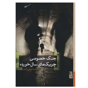 کتاب جنگ خصوصی چریک های سال خورده اثر سعیده امین زاده نشر برج