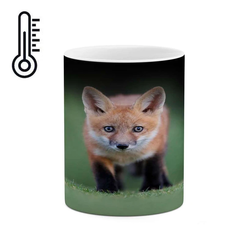 ماگ حرارتی کاکتی مدل روباه کد mgh17647