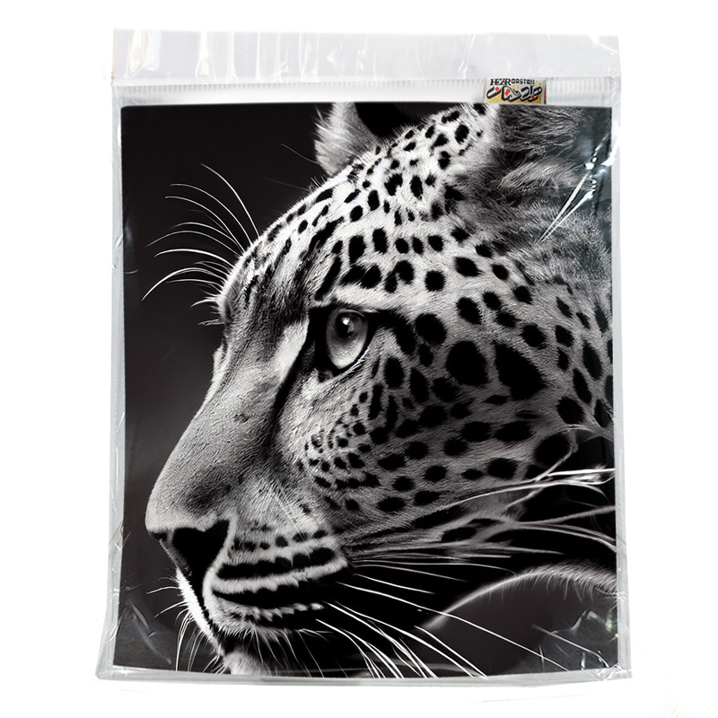 رو بالشی هزاردستان طرح پلنگ کد Drob270