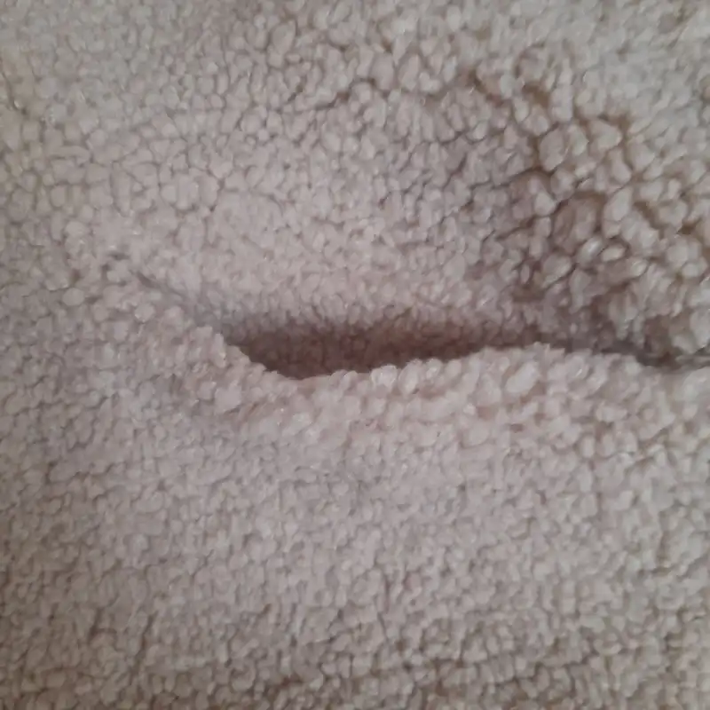 پالتو زنانه جینا مدل تدی ببعی