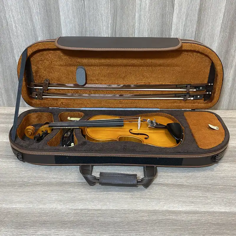 هاردکیس ویولن مدل GSAGSM