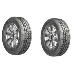 لاستیک خودرو سواری بارز مدل P648 سایز 185/65 R15 تیوبلس چهارفصل طرح آج Premium Drive تولید 2025 دو حلقه