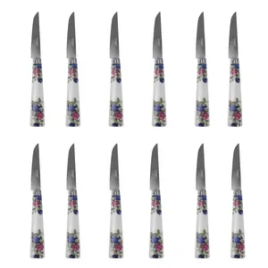 کارد میوه خوری کد 992134 بسته 12 عددی