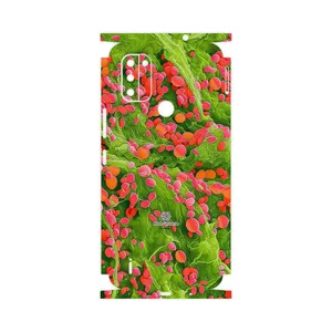 MAHOOT Atom Universe 3-FullSkin Cover Sticker for Nokia C31