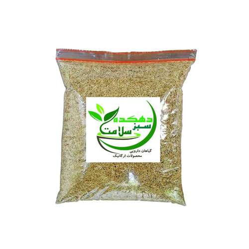 دانه کتان دهکده سبز سلامت - 100 گرم