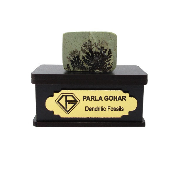 سنگ راف شجر فسیلی پارلا گوهر کد 2205