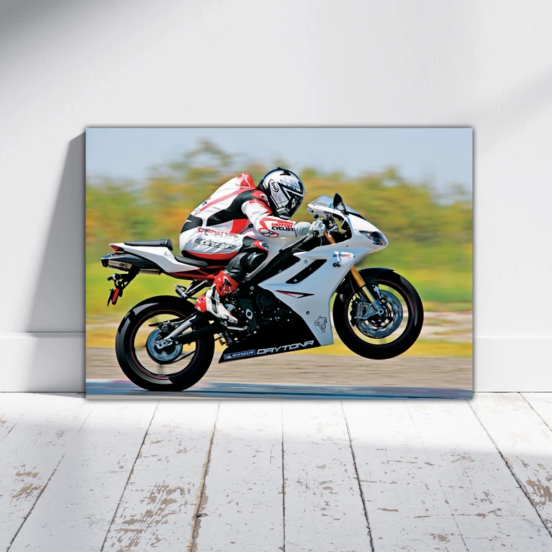 تابلو شاسی بکلیت طرح موتور سنگین Triumph Daytona 675R مدل T-po1519 (2)