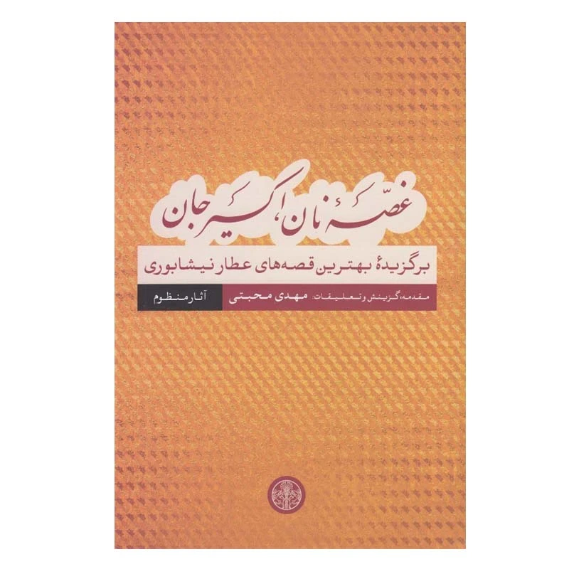 کتاب غصه نان، اكسير جان  اثر مهدي محبتي انتشارات کتاب پارسه