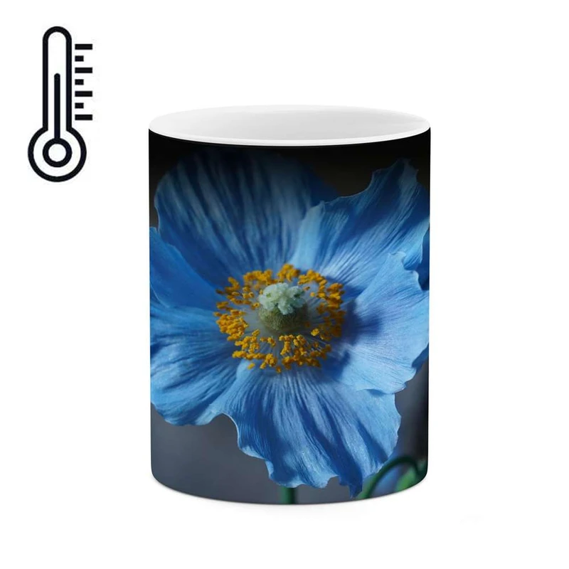 ماگ حرارتی کاکتی مدل گل کد mgh14216