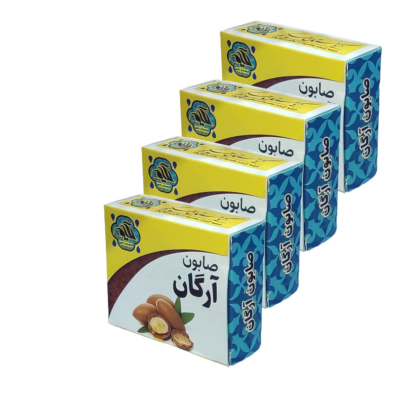 صابون شستشو گیاهستان حکیم مدل آرگان  وزن 70 گرم بسته 4 عددی