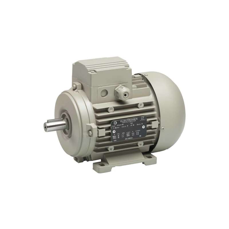 الکتروموتور صنعتی الکتروژن  مدل ب3 فریم 63