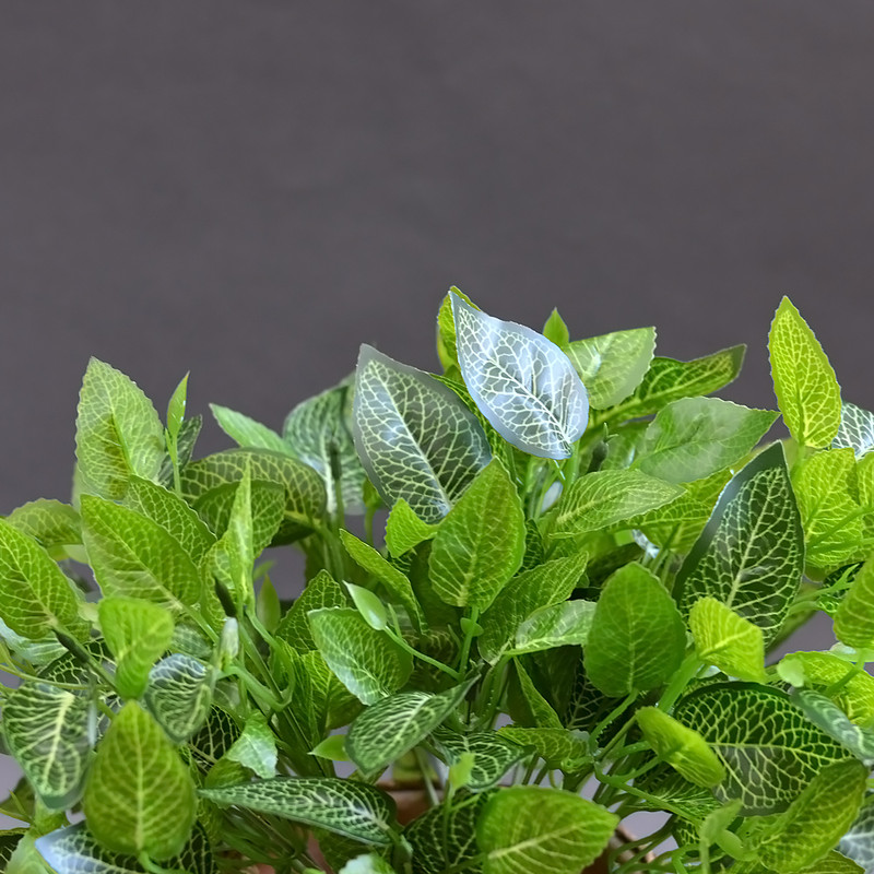 گل مصنوعی مدل بوته برگ لمسی طرح گردو بسته دو عددی