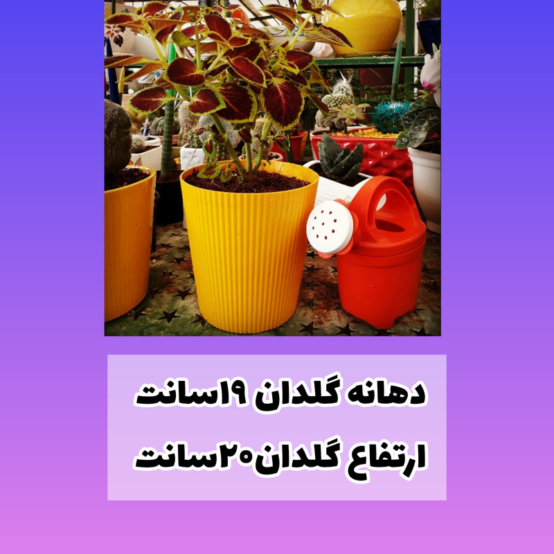 گلدان مدل مارانتا کد 19cm بسته 6 عددی