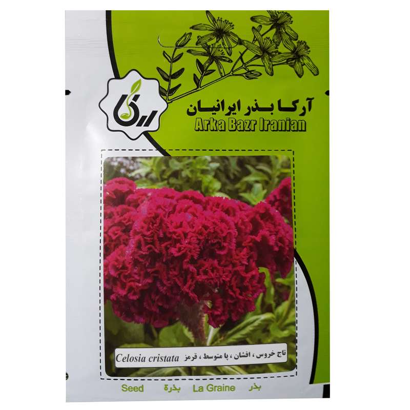 بذر گل تاج خروس افشان پامتوسط قرمز آرکا بذر ایرانیان کد A48