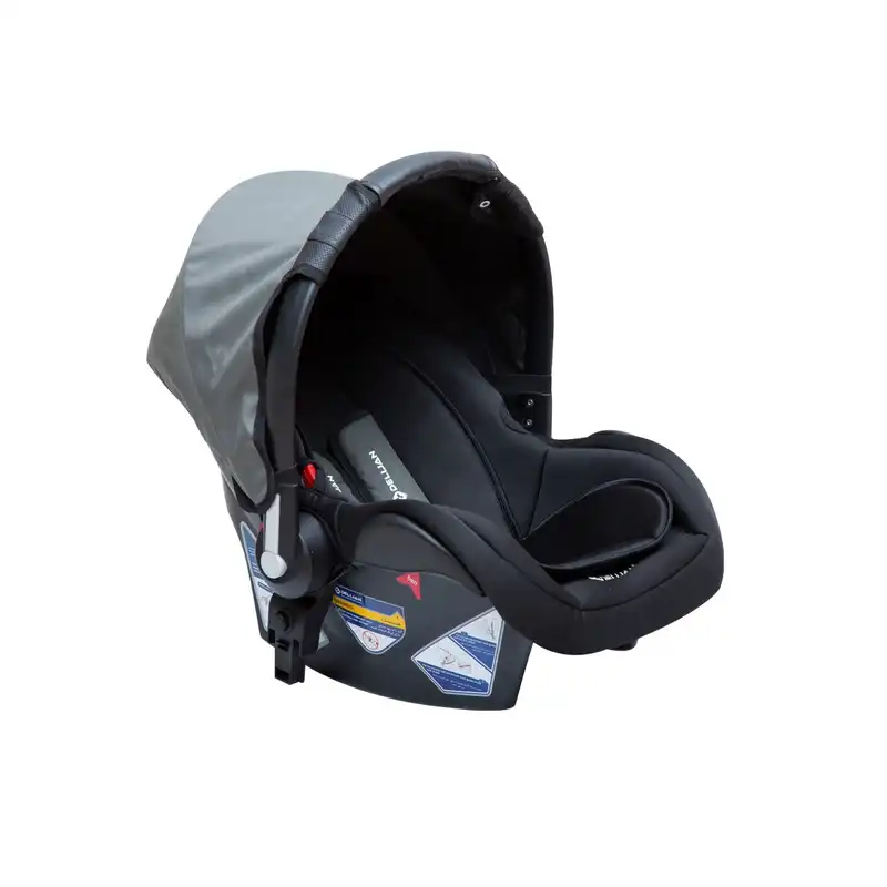 کریر دلیجان مدل  هیرو