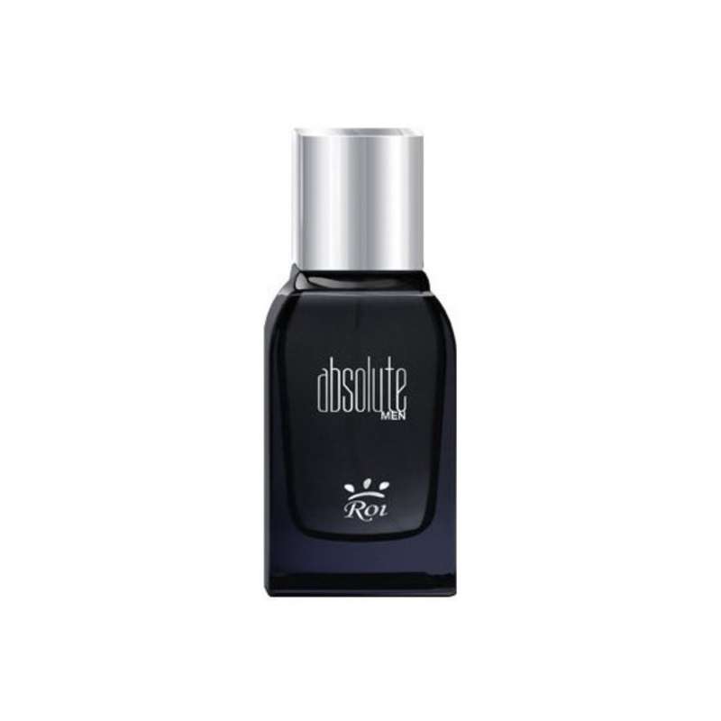 ادو پرفیوم مردانه روی مدل ABSOLUTE MEN حجم 100 میلی لیتر