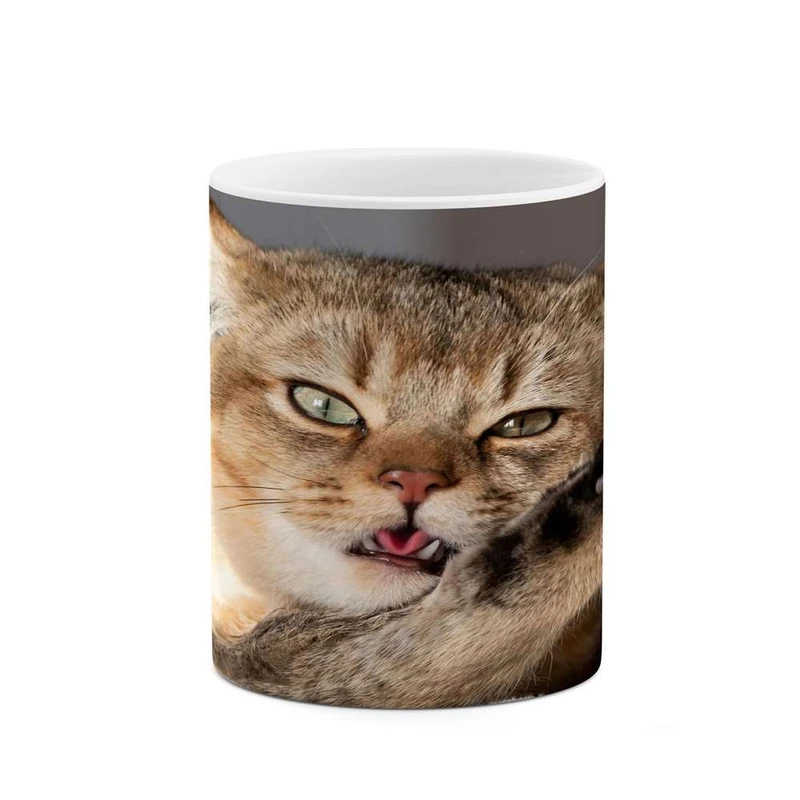 ماگ کاکتی مدل گربه کد mgh16327