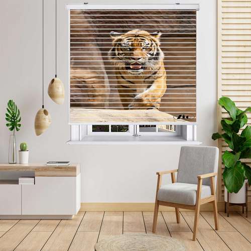 پرده زبرا زیو مدل OA 7056 سایز 150x150 سانتی متر